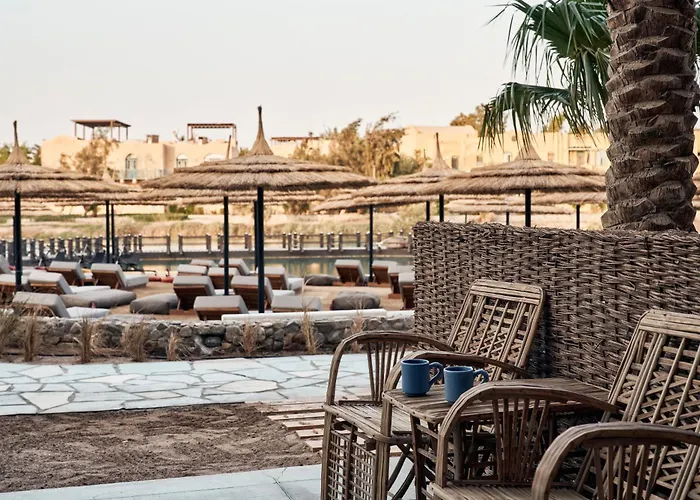 Cook'S Club El Gouna (Adults Only)